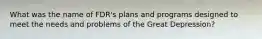 What was the name of FDR's plans and programs designed to meet the needs and problems of the Great Depression?