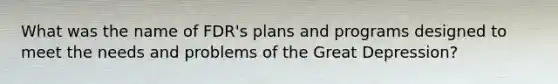 What was the name of FDR's plans and programs designed to meet the needs and problems of the Great Depression?