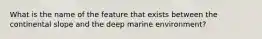 What is the name of the feature that exists between the continental slope and the deep marine environment?