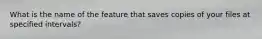 What is the name of the feature that saves copies of your files at specified intervals?