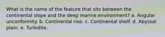 What is the name of the feature that sits between the continental slope and the deep marine environment? a. Angular unconformity. b. Continental rise. c. Continental shelf. d. Abyssal plain. e. Turbidite.