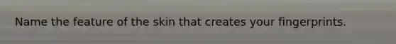 Name the feature of the skin that creates your fingerprints.