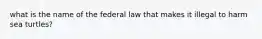 what is the name of the federal law that makes it illegal to harm sea turtles?