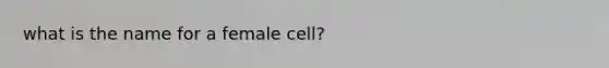 what is the name for a female cell?