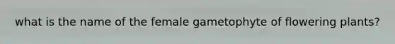 what is the name of the female gametophyte of flowering plants?