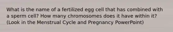 What is the name of a fertilized egg cell that has combined with a sperm cell? How many chromosomes does it have within it? (Look in the Menstrual Cycle and Pregnancy PowerPoint)