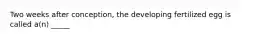 Two weeks after conception, the developing fertilized egg is called a(n) _____