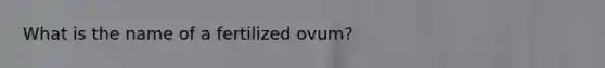 What is the name of a fertilized ovum?