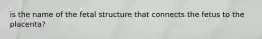 is the name of the fetal structure that connects the fetus to the placenta?