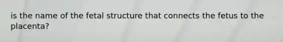 is the name of the fetal structure that connects the fetus to the placenta?