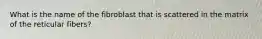 What is the name of the fibroblast that is scattered in the matrix of the reticular fibers?