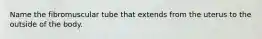 Name the fibromuscular tube that extends from the uterus to the outside of the body.