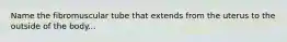 Name the fibromuscular tube that extends from the uterus to the outside of the body...