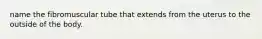 name the fibromuscular tube that extends from the uterus to the outside of the body.
