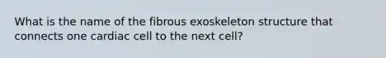 What is the name of the fibrous exoskeleton structure that connects one cardiac cell to the next cell?