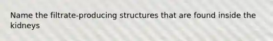 Name the filtrate-producing structures that are found inside the kidneys