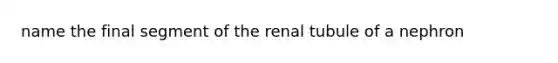 name the final segment of the renal tubule of a nephron