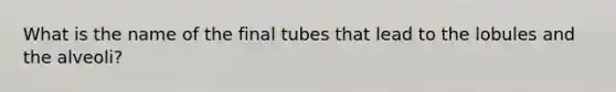 What is the name of the final tubes that lead to the lobules and the alveoli?