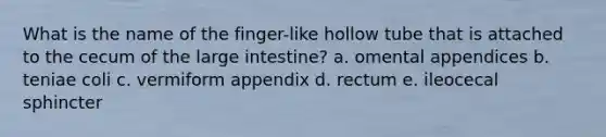 What is the name of the finger-like hollow tube that is attached to the cecum of the large intestine? a. omental appendices b. teniae coli c. vermiform appendix d. rectum e. ileocecal sphincter