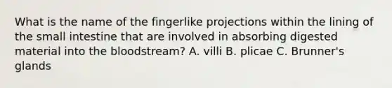 What is the name of the fingerlike projections within the lining of the small intestine that are involved in absorbing digested material into the bloodstream? A. villi B. plicae C. Brunner's glands