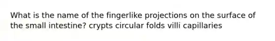 What is the name of the fingerlike projections on the surface of the small intestine? crypts circular folds villi capillaries