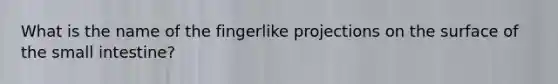 What is the name of the fingerlike projections on the surface of <a href='https://www.questionai.com/knowledge/kt623fh5xn-the-small-intestine' class='anchor-knowledge'>the small intestine</a>?