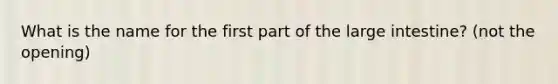 What is the name for the first part of the <a href='https://www.questionai.com/knowledge/kGQjby07OK-large-intestine' class='anchor-knowledge'>large intestine</a>? (not the opening)