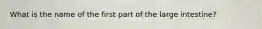 What is the name of the first part of the large intestine?
