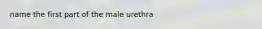 name the first part of the male urethra