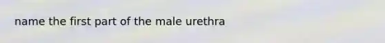 name the first part of the male urethra