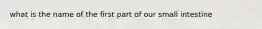 what is the name of the first part of our small intestine