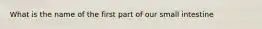 What is the name of the first part of our small intestine