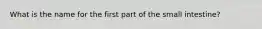 What is the name for the first part of the small intestine?