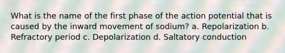 What is the name of the first phase of the action potential that is caused by the inward movement of sodium? a. Repolarization b. Refractory period c. Depolarization d. Saltatory conduction