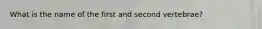What is the name of the first and second vertebrae?