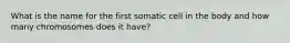 What is the name for the first somatic cell in the body and how many chromosomes does it have?