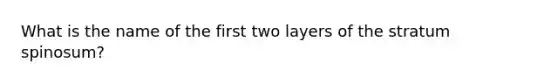 What is the name of the first two layers of the stratum spinosum?