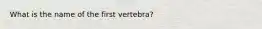 What is the name of the first vertebra?