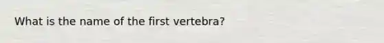 What is the name of the first vertebra?