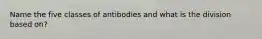 Name the five classes of antibodies and what is the division based on?