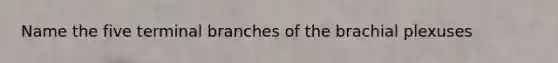 Name the five terminal branches of the brachial plexuses