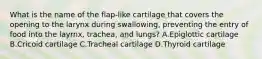 What is the name of the flap-like cartilage that covers the opening to the larynx during swallowing, preventing the entry of food into the layrnx, trachea, and lungs? A.Epiglottic cartilage B.Cricoid cartilage C.Tracheal cartilage D.Thyroid cartilage