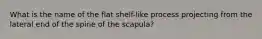 What is the name of the flat shelf-like process projecting from the lateral end of the spine of the scapula?