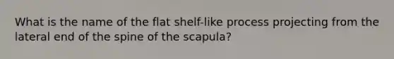 What is the name of the flat shelf-like process projecting from the lateral end of the spine of the scapula?