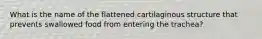 What is the name of the flattened cartilaginous structure that prevents swallowed food from entering the trachea?