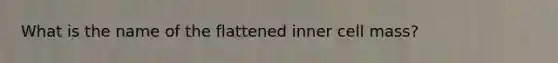 What is the name of the flattened inner cell mass?