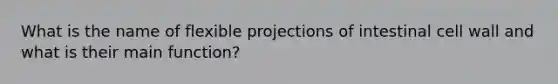 What is the name of flexible projections of intestinal cell wall and what is their main function?