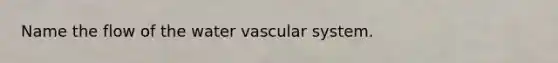 Name the flow of the water vascular system.