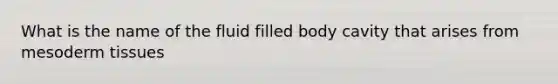 What is the name of the fluid filled body cavity that arises from mesoderm tissues