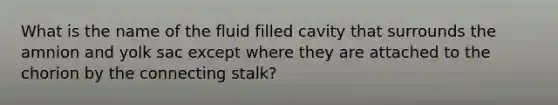 What is the name of the fluid filled cavity that surrounds the amnion and yolk sac except where they are attached to the chorion by the connecting stalk?